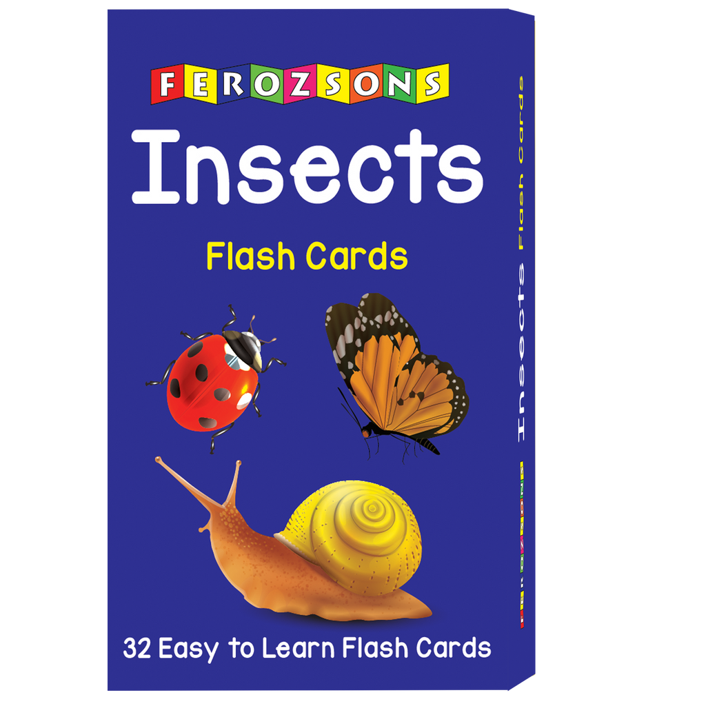 Insects Flash Cards