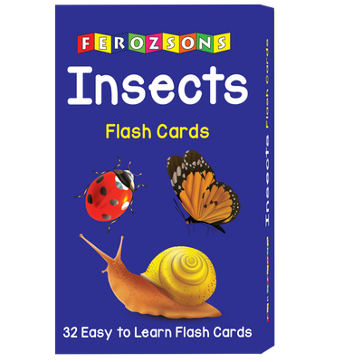 Insects Flash Cards
