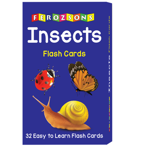 Insects Flash Cards