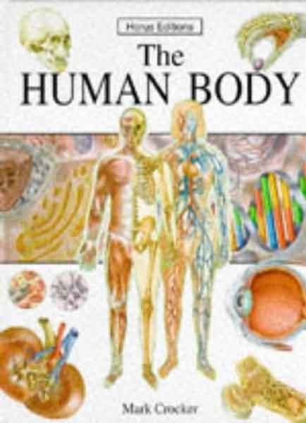 The Human Body (how It Works)