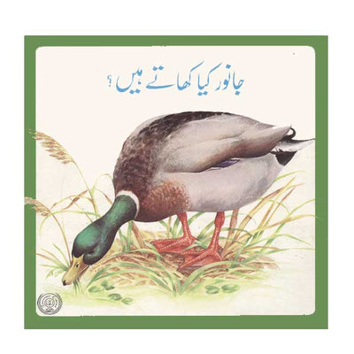 Janwar Kya Khate Hain