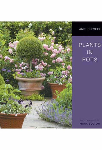 Plants in Pots (Simply Gardening)