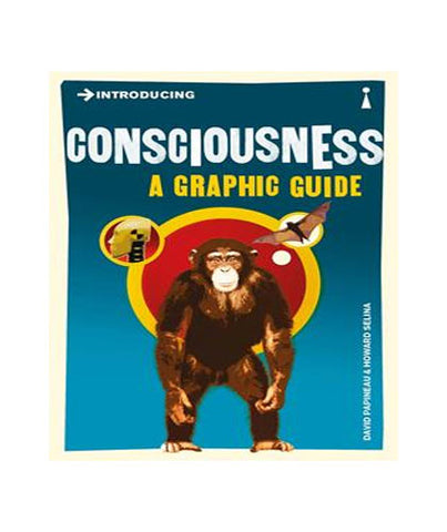 Introducing Consciousness: A Graphic Guide