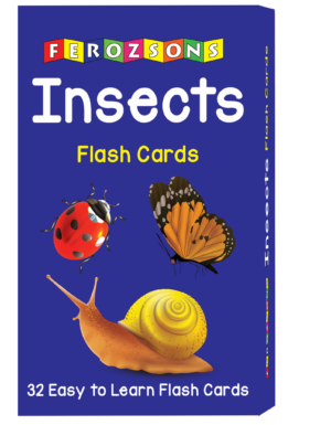 Insects Flash Cards