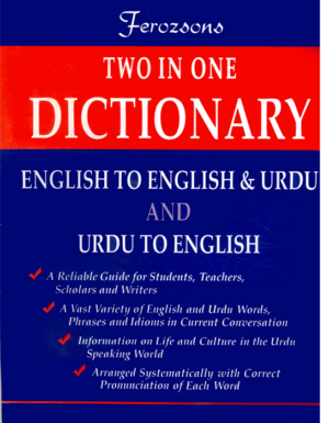 Two In One Dictionary