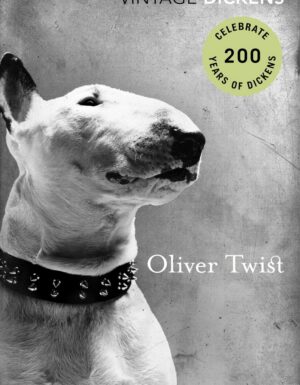 Oliver Twist (vintage Classics)