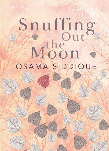 Snuffing Out the Moon